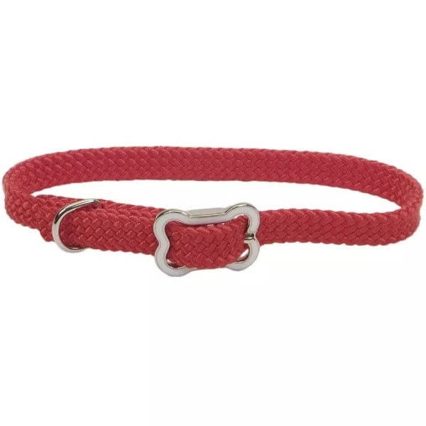 Coastal Sunburst Dog Collar with Bone Buckle - Image 6
