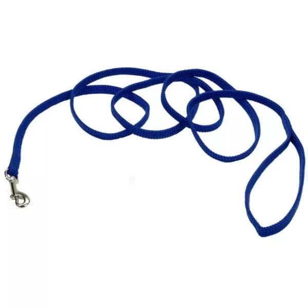 Coastal Sunburst Dog Leash - Image 2