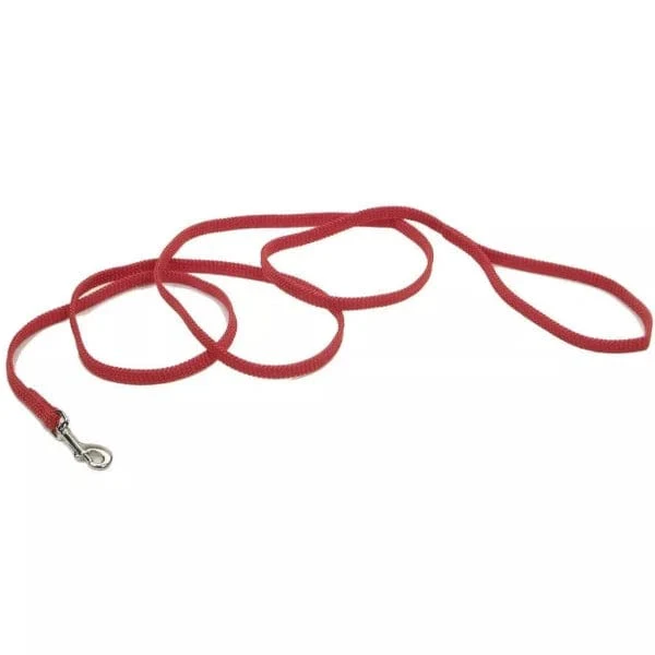Coastal Sunburst Dog Leash - Image 3