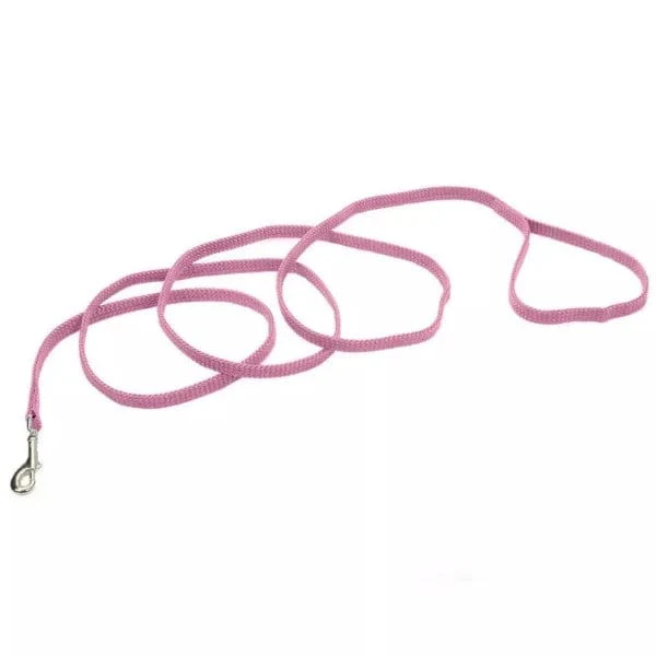 Coastal Sunburst Dog Leash - Image 4