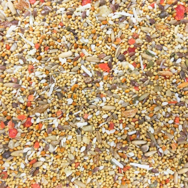 Sunburst Fruits & Veggies (Small) Gourmet Natural Bird Treats - Image 2