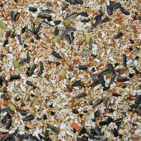 Sunburst Gourmet Blend Cockatiel Food - Image 2