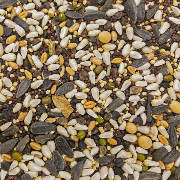 Sunburst Soak n' Sprout Gourmet Natural Bird Treats - Image 2