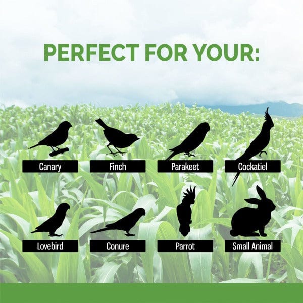 Sunseed Natural Corn Cob Bedding - Image 3