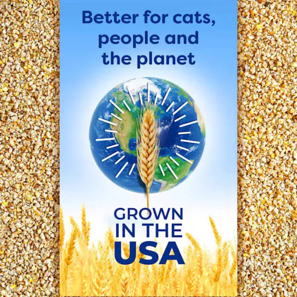 sWheat Scoop Multi-Cat Clumping Wheat Cat Litter - Image 6