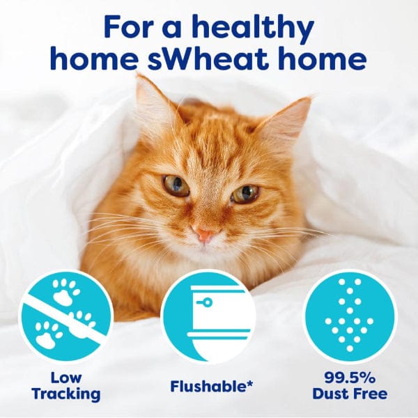 sWheat Scoop Original Fast Clumping Wheat Cat Litter - Image 4