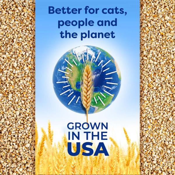 sWheat Scoop Original Fast Clumping Wheat Cat Litter - Image 6
