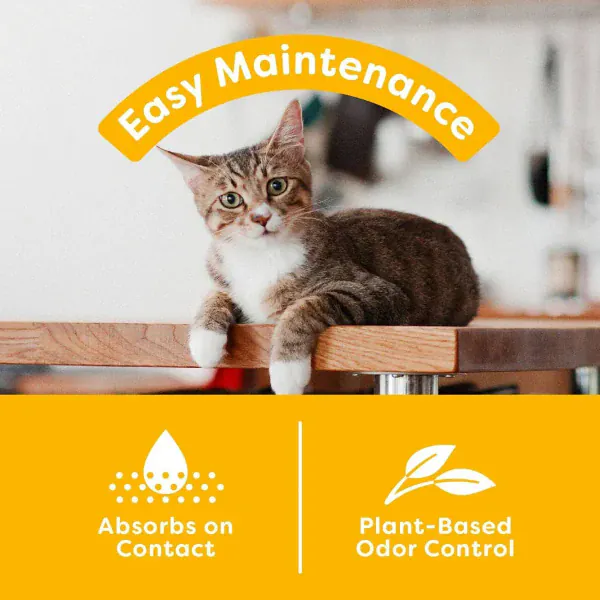 sWheat Scoop Easy Maintenance Clumping Cat Litter, 28lb - Image 3