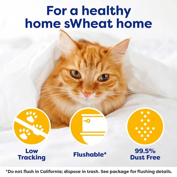 sWheat Scoop Easy Maintenance Clumping Cat Litter, 28lb - Image 4
