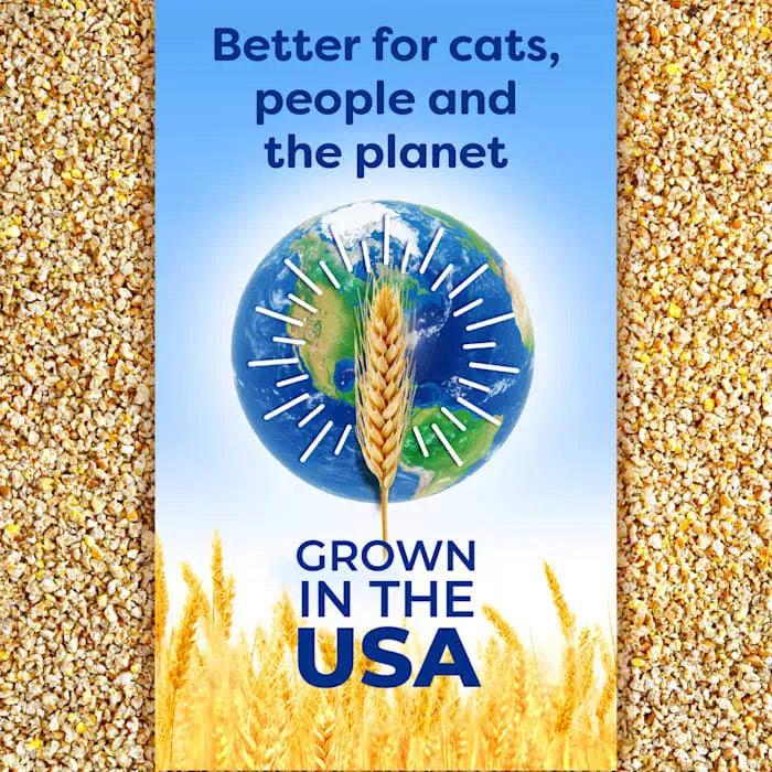 sWheat Scoop Easy Maintenance Clumping Cat Litter, 28lb - Image 6