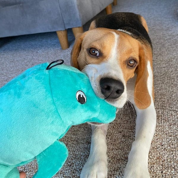 tender-tuffs Big Shots Manatee Plush Dog Toy - Image 4