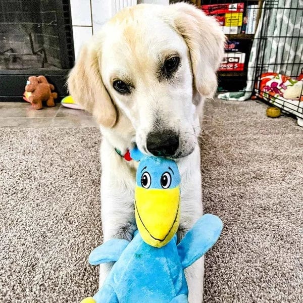 tender-tuffs Big Shots Pelican Plush Dog Toy - Image 4