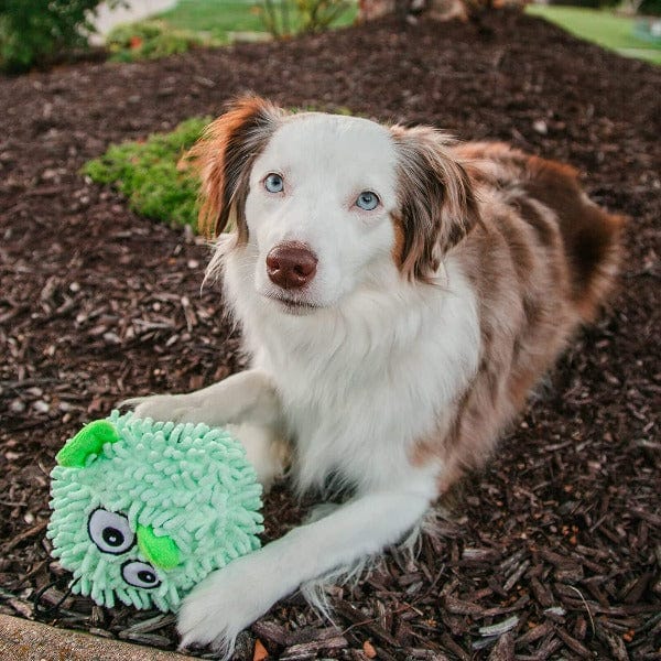 tender-tuffs Pufferfish Plush Dog Toy - Image 4