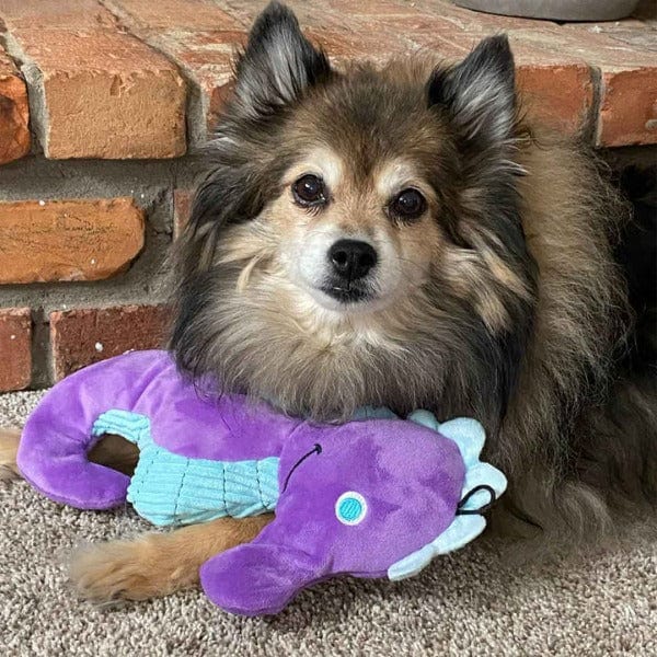 tender-tuffs Seahorse Plush Dog Toy - Image 4