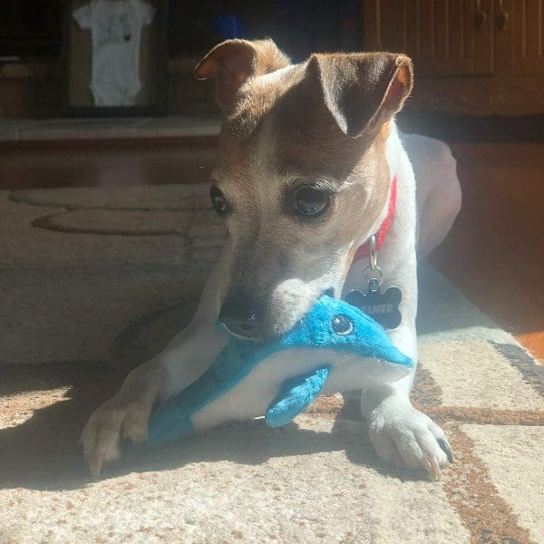 tender-tuffs Tiny Dolphin Plush Dog Toy - Image 4
