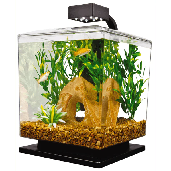 Tetra LED Aquarium Kit - 1.5 Gallon Cube - Image 2