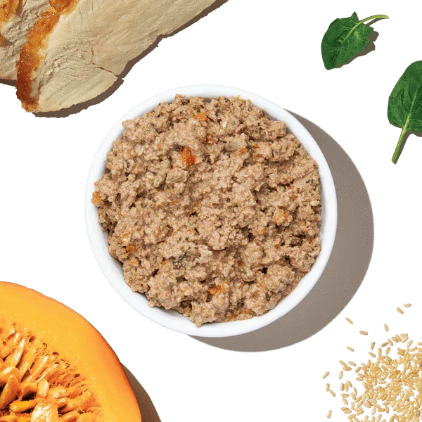 The Honest Kitchen Butcher Block Pate |Turkey & Autumn Veggies Wet Dog Food - Image 7