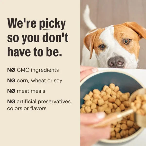 The Honest Kitchen Whole Food Clusters | Grain Free Chicken Dry Dog Food - Image 5