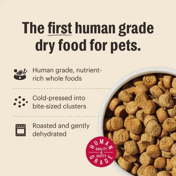 The Honest Kitchen Whole Food Clusters | Grain Free Turkey Dry Dog Food, 5lb - Image 3