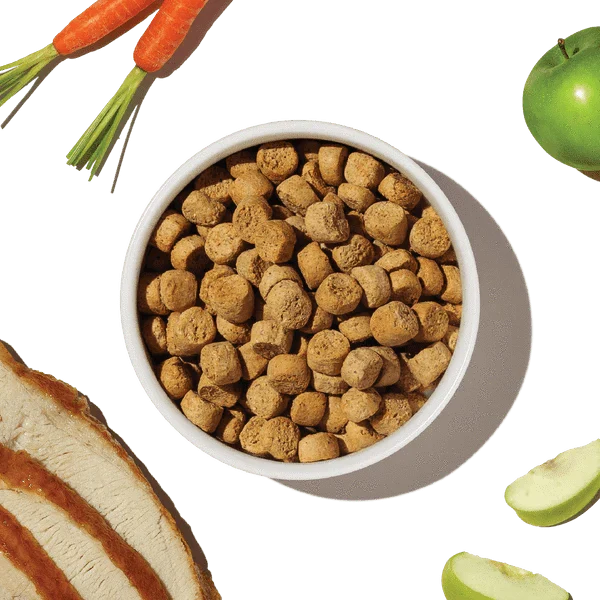 The Honest Kitchen Whole Food Clusters | Grain Free Turkey Dry Dog Food, 5lb - Image 8