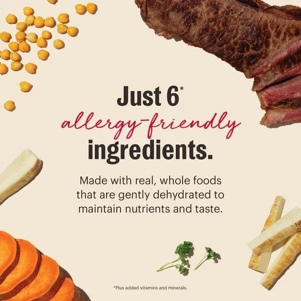 The Honest Kitchen WholeMade | Limited Ingredient Beef Recipe Dehydrated Dog Food, 10lb (SPECIAL ORDER ITEM) - Image 3
