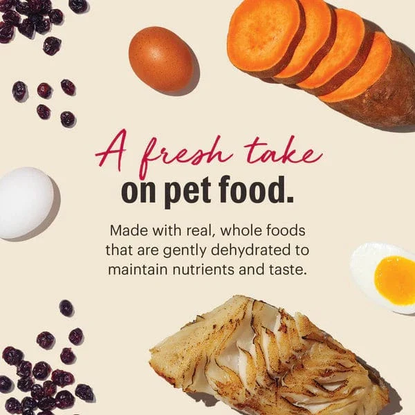 The Honest Kitchen WholeMade | Grain Free Fish Recipe Dehydrated Dog Food, 10lb (SPECIAL ORDER ITEM) - Image 3