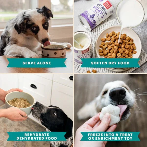 The Honest Kitchen Daily Boosters | Instant Goat's Milk with Probiotics - Image 5