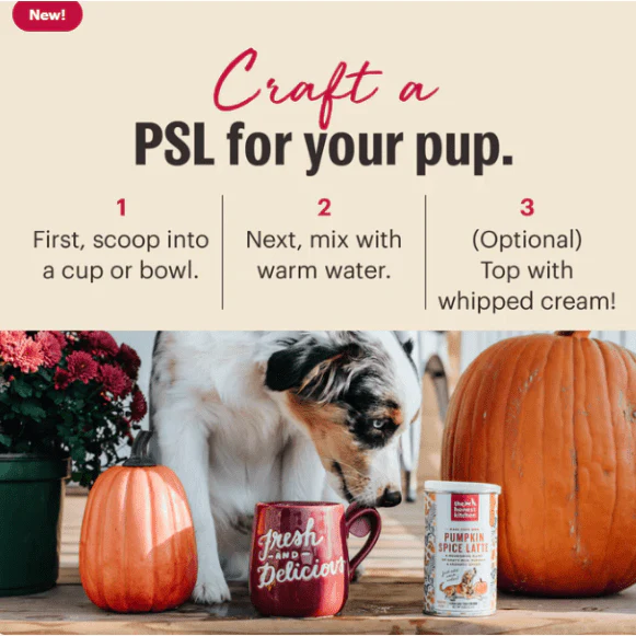 The Honest Kitchen Pumpkin Spice Latte - Image 2
