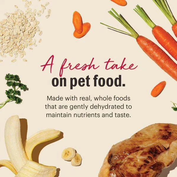 The Honest Kitchen WholeMade | Whole Grain Chicken Recipe Dehydrated Dog Food - Image 3
