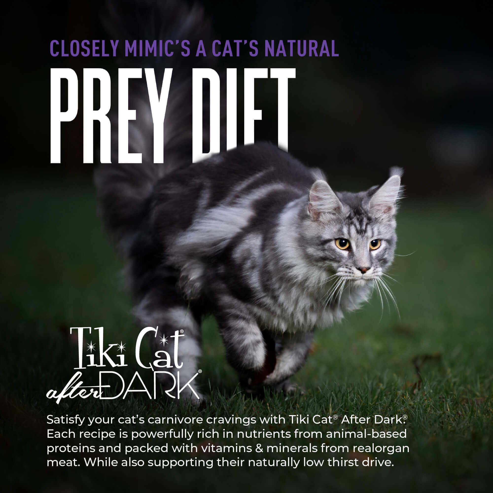 Tiki Cat After Dark | Shreds Rabbit & Chicken Liver Recipe Canned Cat Food, 3oz - Image 5