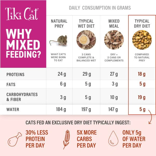 Tiki Cat Born Carnivore | Broths Variety Pack Cat Food Topper - Image 8