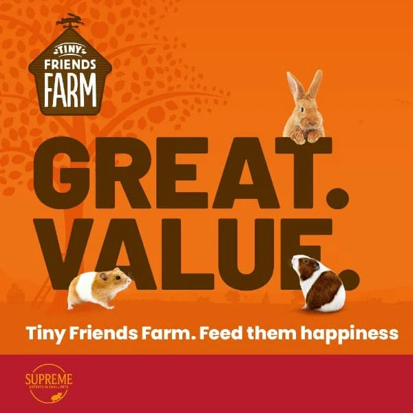 Tiny Friends Farm; Bathing Sand for Small Animals - Image 3
