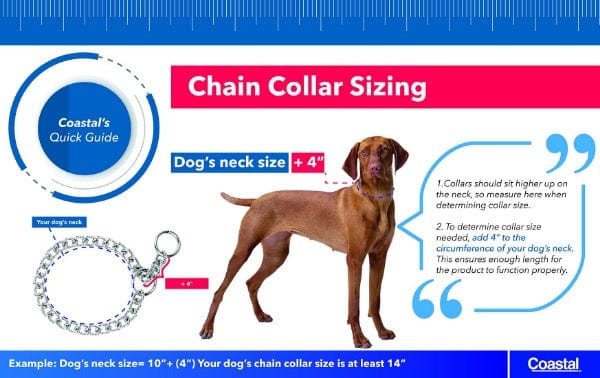Titan Prong Training Collar - Image 3