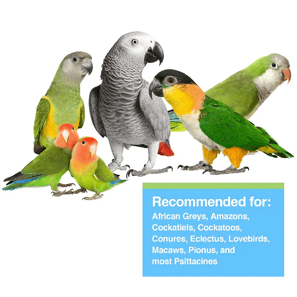 Tropican Hand-Feeding Formula for Parrots - Image 2