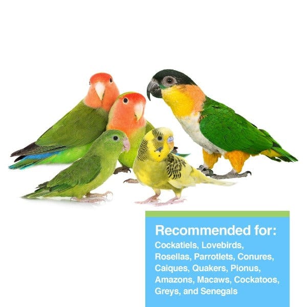 Tropican Lifetime Formula Sticks for Parrots, 20lb* - Image 2