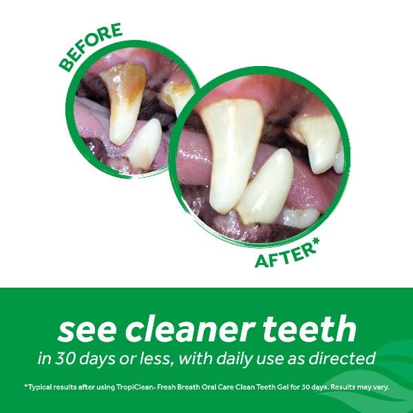 Tropiclean Fresh Breath Clean Teeth Oral Care Gel for Dogs; Peanut Butter - Image 4