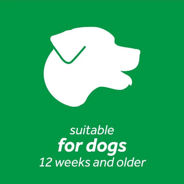 Tropiclean Fresh Breath Oral Care Kit For Dogs; Large Dogs - Image 3