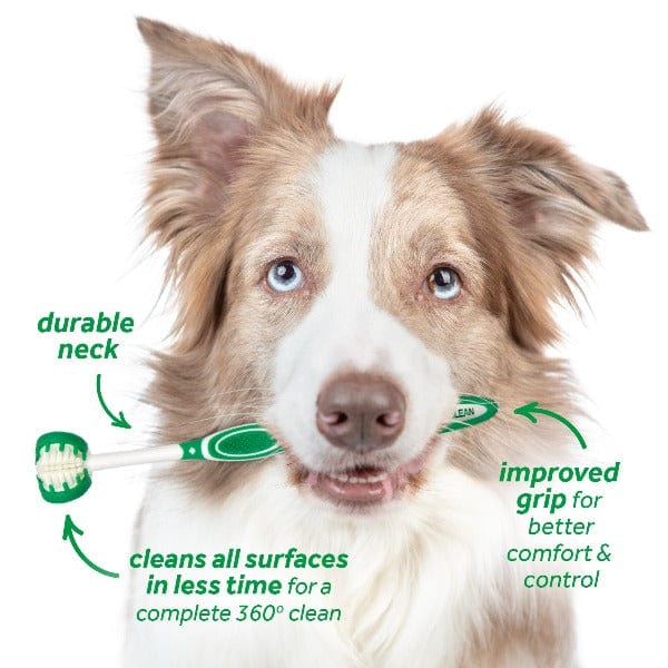 Tropiclean Fresh Breath Oral Care Kit For Dogs; Large Dogs - Image 7
