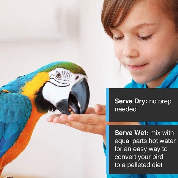 Tropimix Enrichment Food for Small Parrots - Image 4