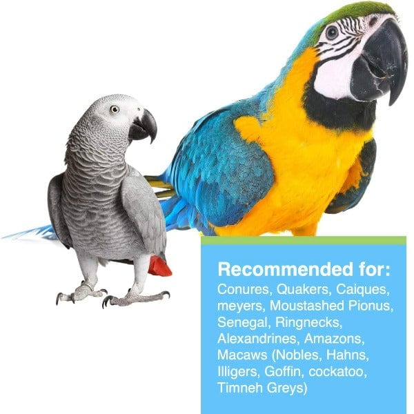Tropimix Enrichment Formula for Large Parrots - Image 2