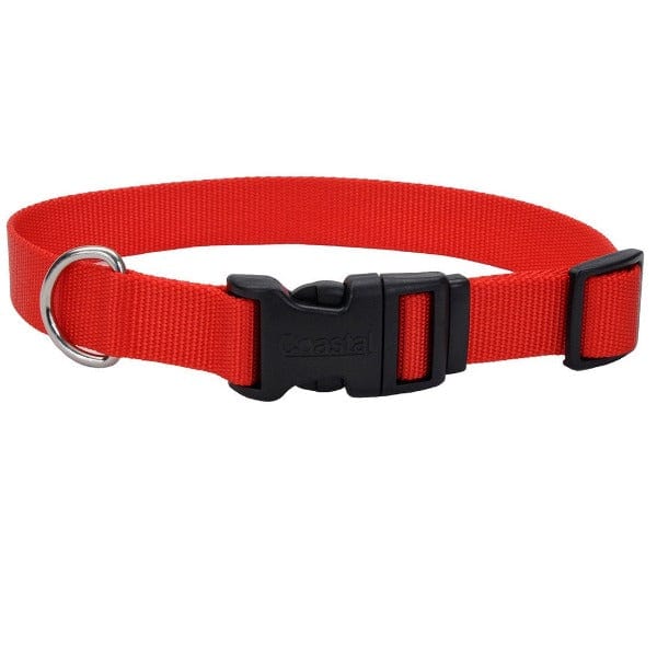Coastal Adjustable Nylon Collar with Plastic Buckle - Image 5
