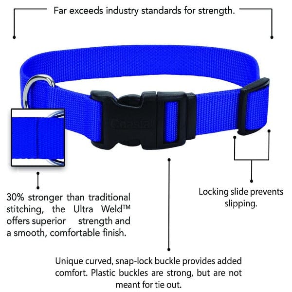 Coastal Adjustable Nylon Collar with Plastic Buckle - Image 7