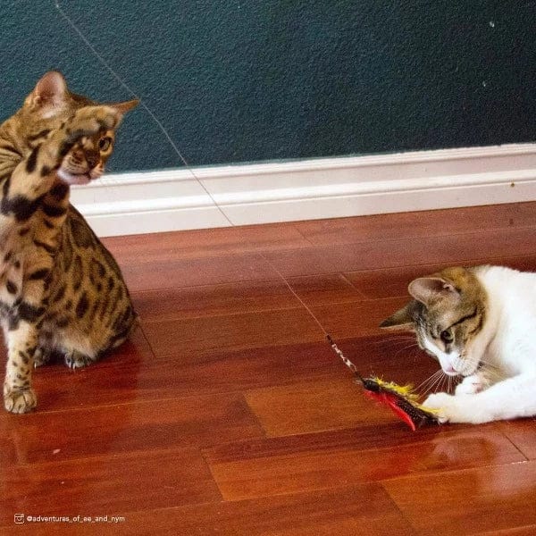 Turbo Telescoping Flying Teaser Cat Toy - Image 3
