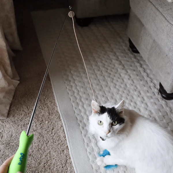 Turbo Telescoping Wand with LED Pointer Cat Toy - Image 3