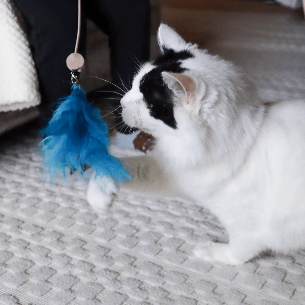 Turbo Telescoping Wand with LED Pointer Cat Toy - Image 6