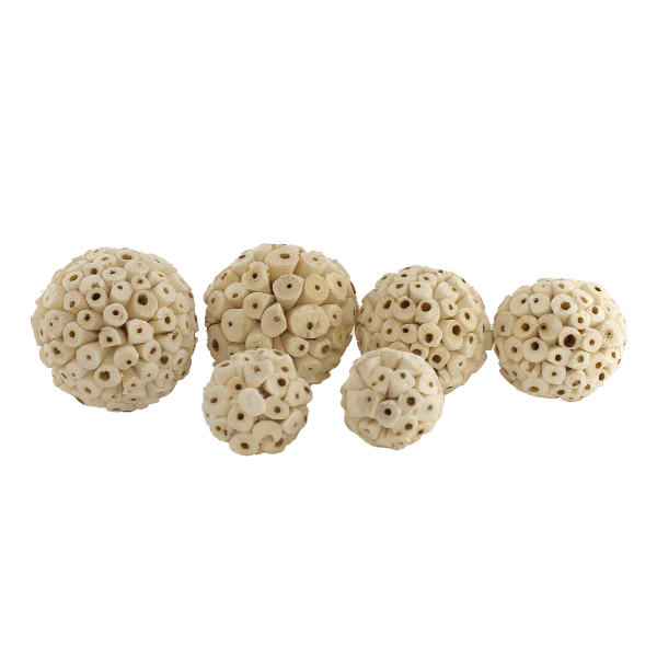 Verdant Sola Preening Balls Bird Toy