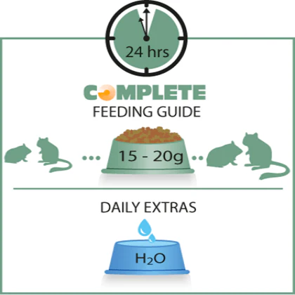 Versele-Laga Complete Hamster & Gerbil Food - Image 3