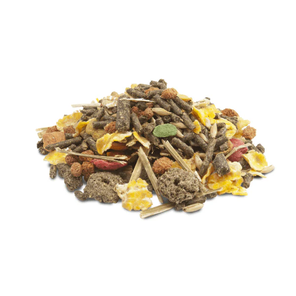 Versele-Laga Crispy Muesli Food for Guinea Pigs - Image 2