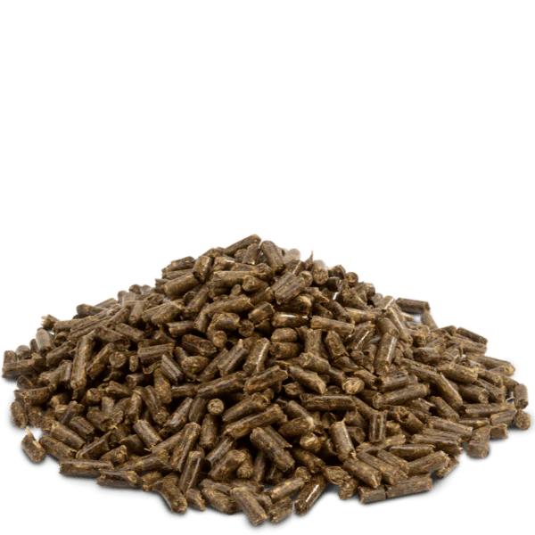 Versele-Laga Crispy Pellets for Chinchilla & Degu - Image 2