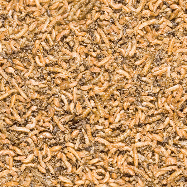 Versele-Laga Menu Nature Insect Mix - Image 2